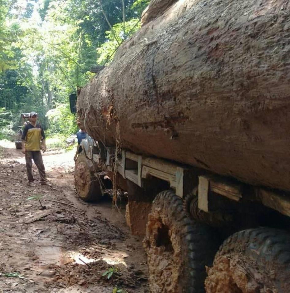 Um dos quatro caminhões carregados com madeira de Castanheira-do-Brasil encontrados por indígenas dentro do Território Indígena Sete de Setembro, no estado de Rondônia, em novembro de 2017. Foto cedida por Elizângela Dell-Armelina Suruí.