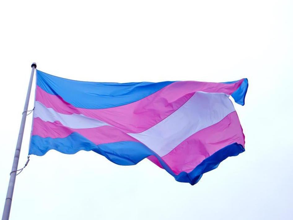 Le drapeau de la fierté transgenre, créé en 1999 par l’activiste transgenre américaine Monica Helms. Les bandes sont en trois couleurs : bleu (couleur traditionnelle des garçons), rose (couleur traditionnelle des filles, et blanc (symbolisant ici les personnes intersexes ou en période de transition). 