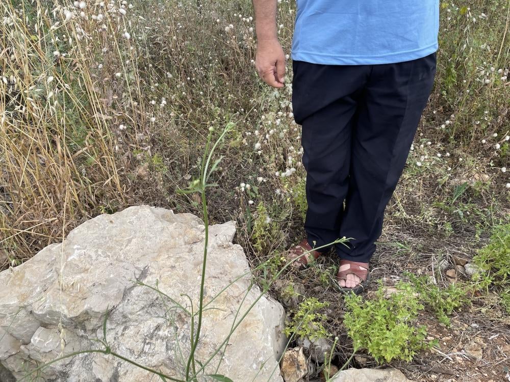 The location where residents of Azzun found Mohammed al-Sleem’s body on March 2, 2023. He was pronounced dead on arrival at a local hospital. May 6, 2023.