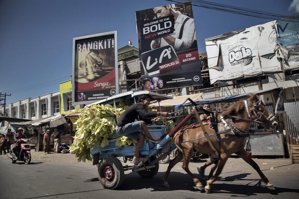 Seorang lelaki melintasi reklame merek rokok terkenal sewaktu mengangkut tembakau dengan andong di Lombok Timur, Nusa Tenggara Barat. 