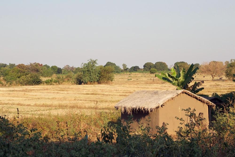Un champ situé près de la mine de charbon d’Eland à Mwabulambo, au Malawi. La plupart des résidents sont des agriculteurs de subsistance qui cultivent le riz, le maïs, le manioc et l’arachide. Au Malawi, les familles vivant à proximité des mines de charbo