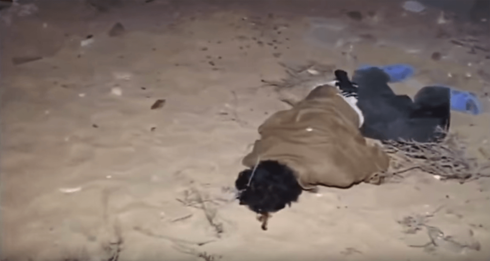 1) Still from a video published by the Egyptian Interior Ministry. The video shows a man, apparently with a handgun in his pants, lying dead after being shot by Egyptian counterterrorism forces. Military experts said a video of the shooting published by t