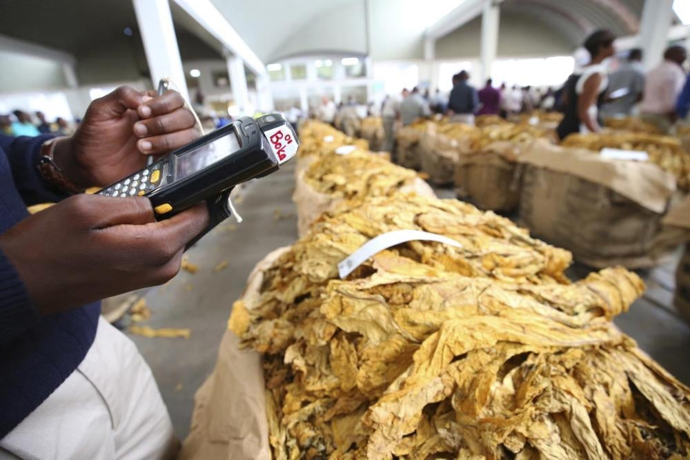  Un acheteur de tabac enregistre des données lors du premier jour de la saison de vente du tabac en 2017 à Harare, au Zimbabwe. 