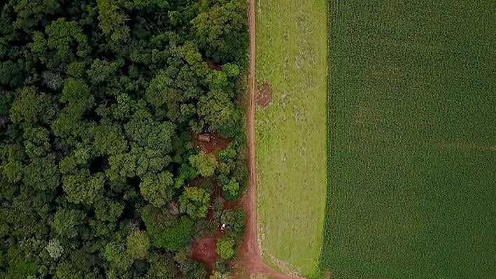 Drone image of an indigenous Guarani-Kaiowá community located a few hours’ drive from Campo Grande, the capital city of Mato Grosso do Sul in mid-west Brazil. The adjacent field alternates between growing soy and corn.