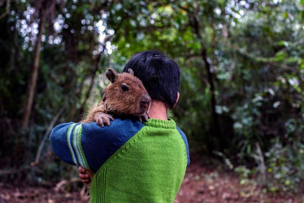 Aratiri, um menino de 9 anos, mora em uma comunidade indígena no estado do Mato Grosso do Sul. Moradores da comunidade descreveram à Human Rights Watch diversos incidentes de intoxicação aguda por agrotóxicos nos últimos anos, tanto por pulverização aérea