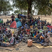 Large group of people gathered near tree. 