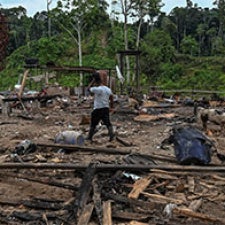 Man walks among rubble in forest 