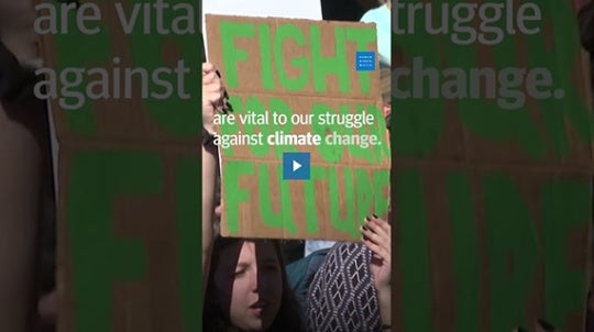 Screengrab from video of environmental activists. 