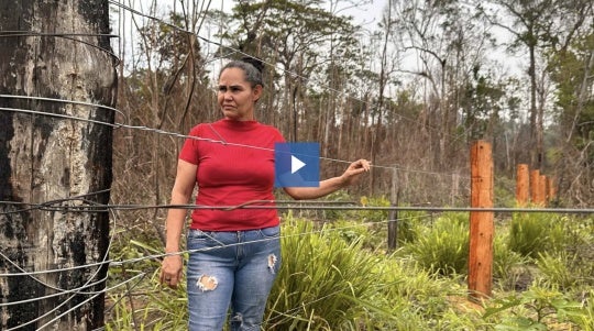 Woman stands in forest holding fence.