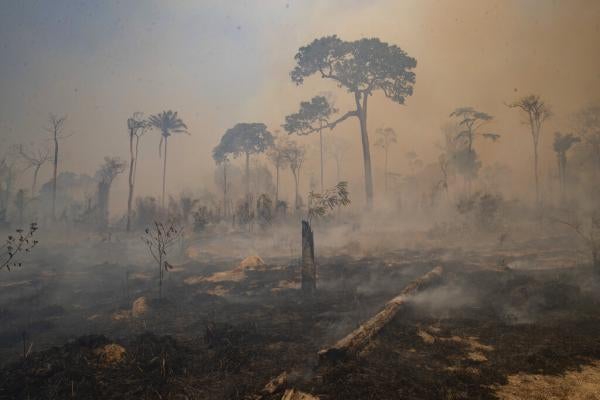 Fire consumes land deforested by cattle farmers ranchers near Novo Progresso, Para Pará State, Brazil, August 2020.