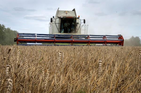 A harvester collects wheat in the village of Zghurivka, Ukraine, on Aug. 9, 2022. Russia has suspended on Monday July 17, 2023 a wartime deal brokered by the U.N. and Turkey that was designed to move food from Ukraine to parts of the world where millions are going hungry.