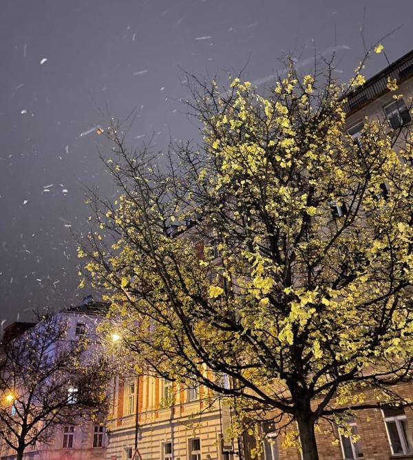 Evening snow in Prague, November 2023. 