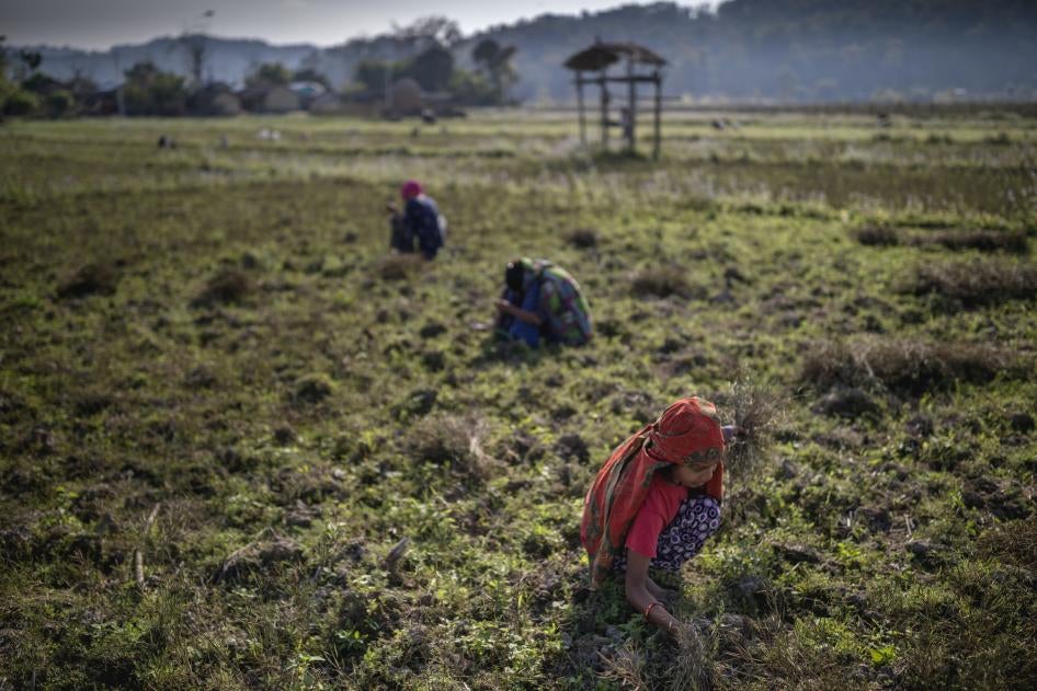 A group of girls at work in a field in Chitwan district, Nepal.