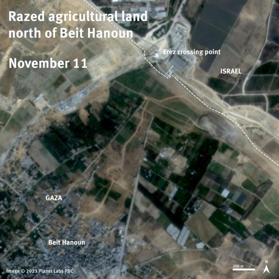 Satellite imagery comparison between November 11 and November 24, 2023 shows razed agricultural land north of Beit Hanoun in an area controlled by Israeli forces.