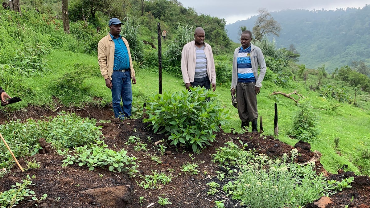 Kenya: Mau Forest Evictees’ Plight Intensifies
