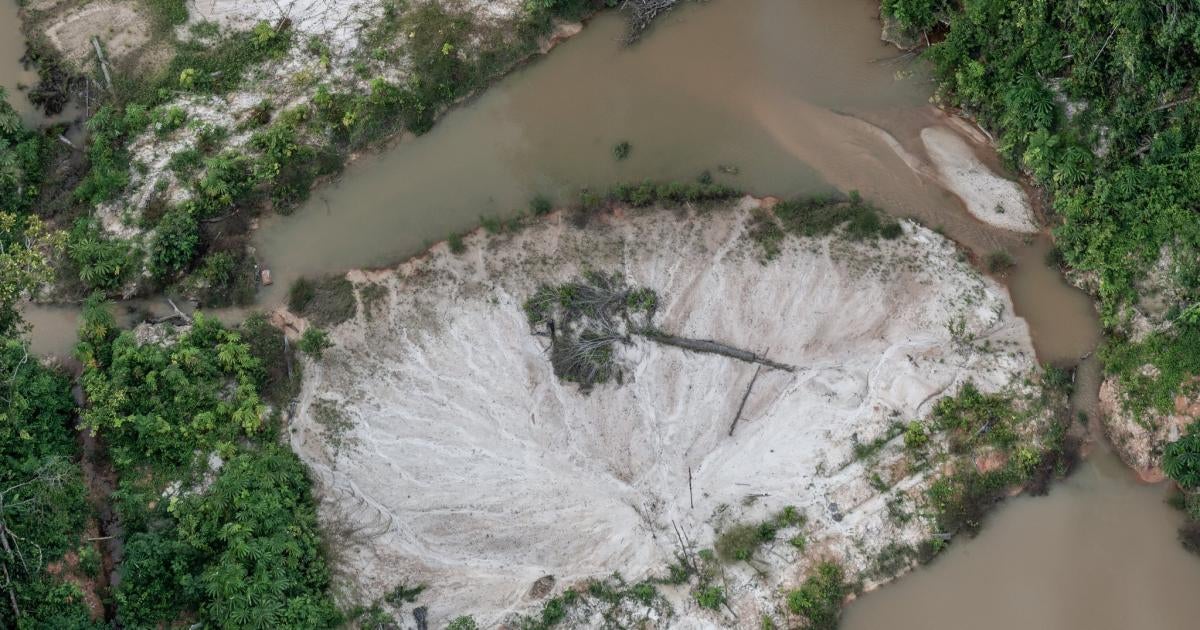 Illegal mining is on the rise in Brazil thanks to TikTok - Rest of
