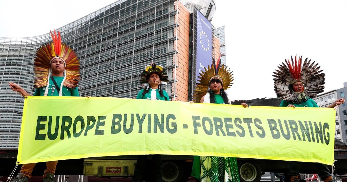 EU: To End Deforestation, Protect Land Rights | Human Rights Watch