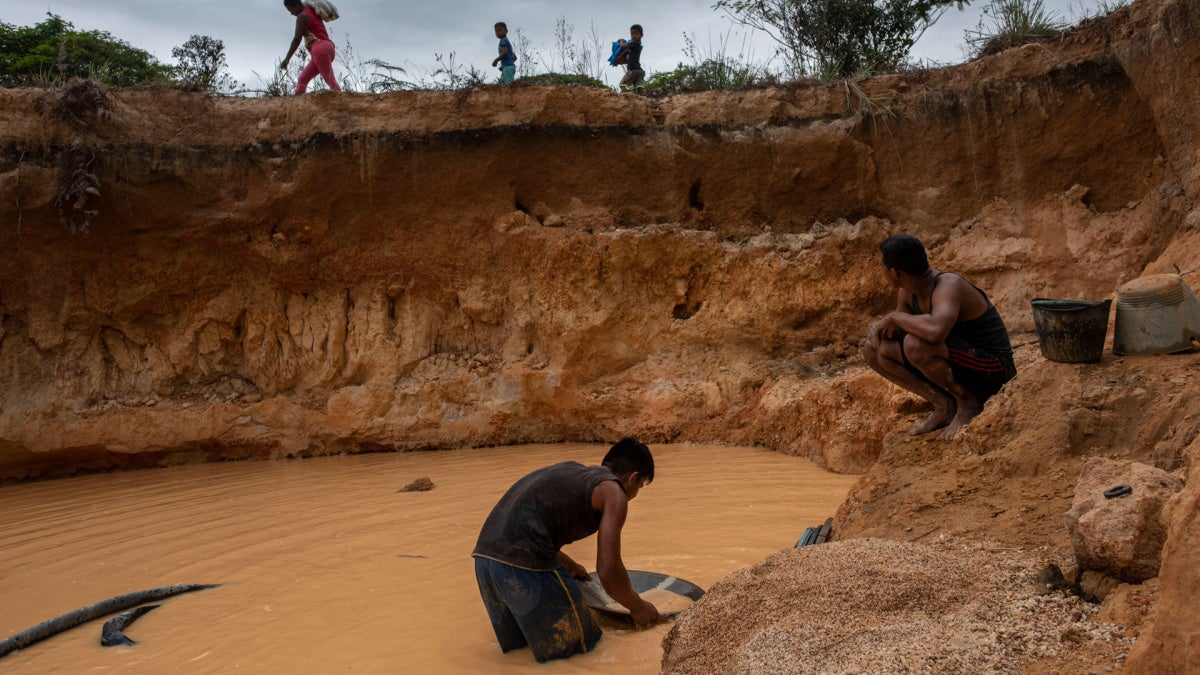 Cómo puede Europa ayudar a frenar el auge del oro ilegal en la Amazonía ...