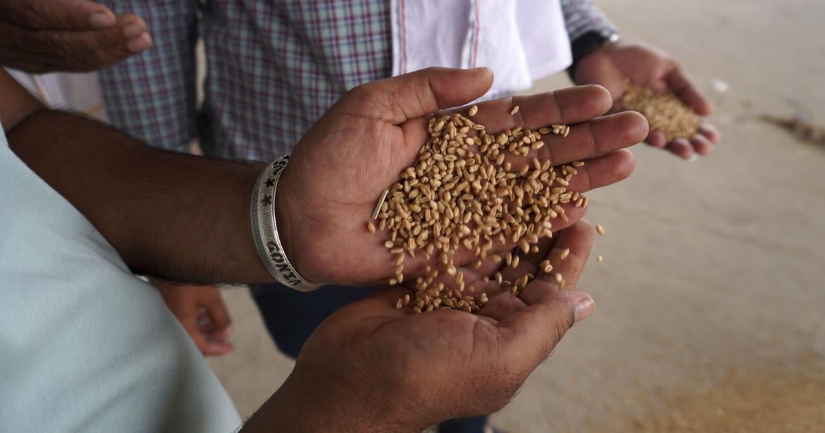 Reimagine Global Food Systems to Prevent Hunger and Protect Rights