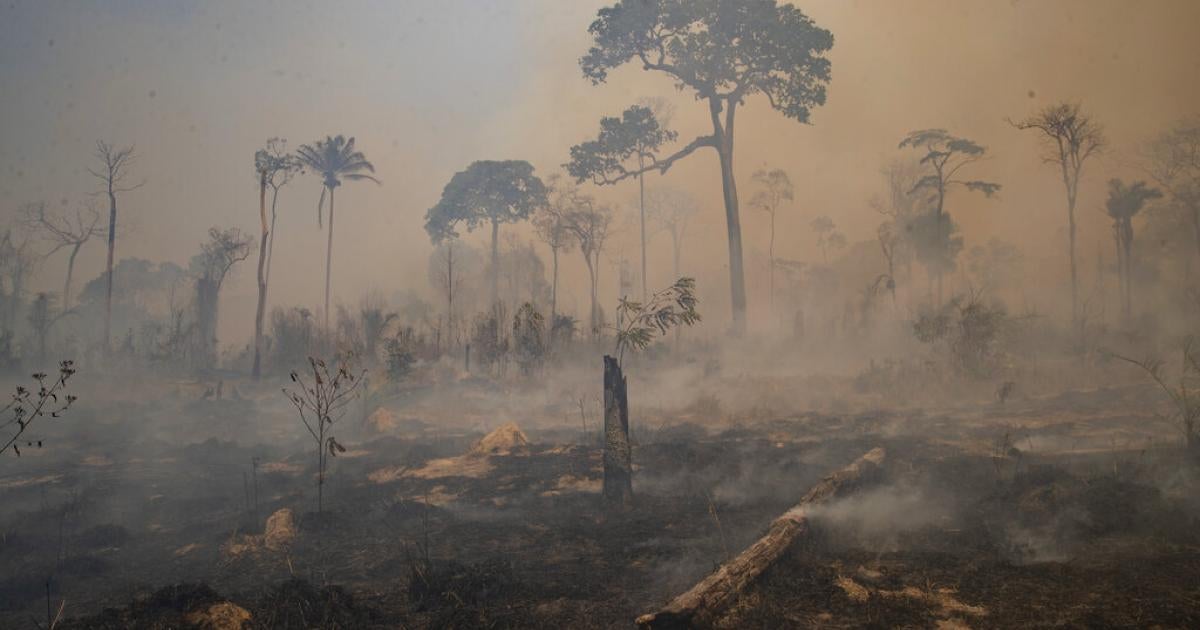 A Devastating Burning Season for the Brazilian Amazon