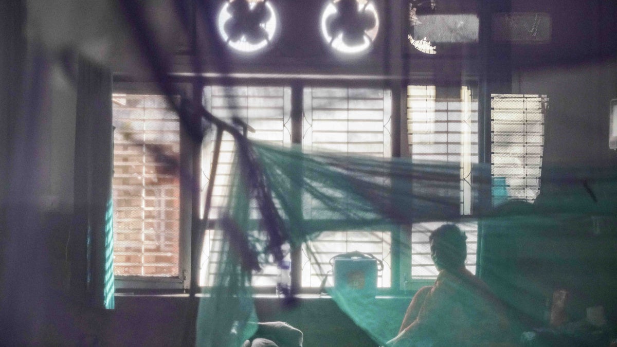 Nepal: Dengue Surge Exposes Climate Risk - Vimarsana News