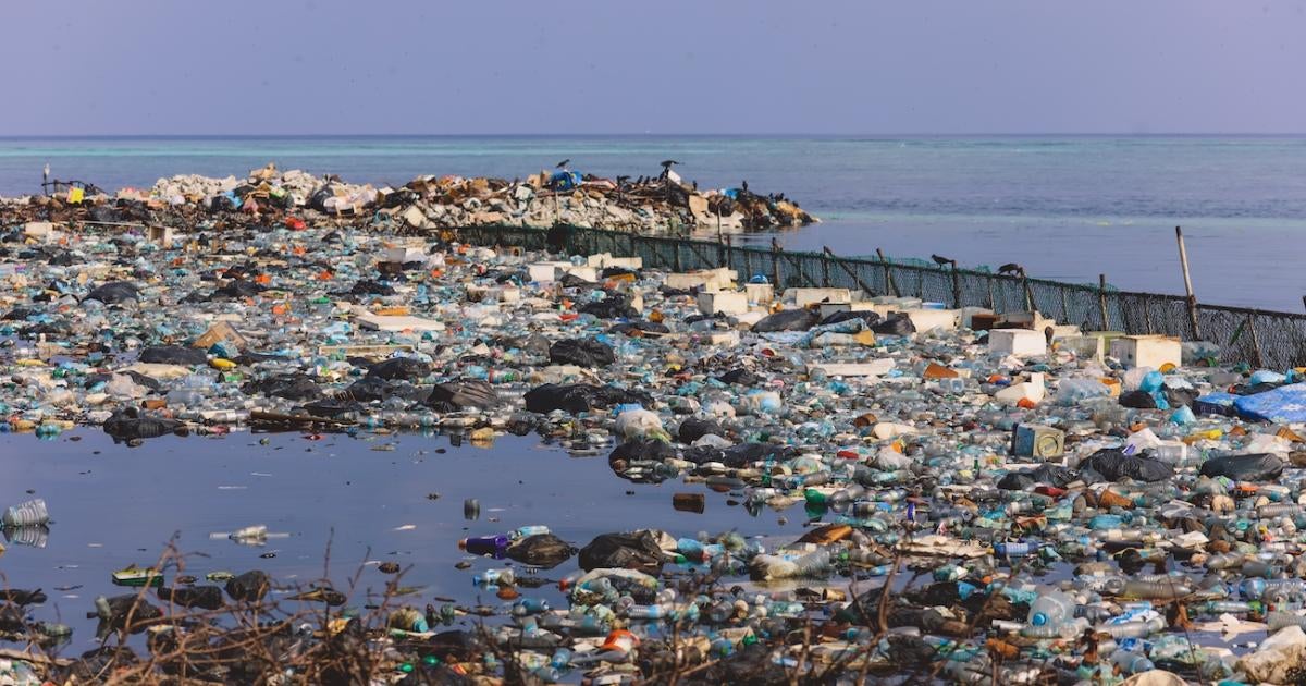 Don't Turn Maldives Into World's Garbage Dump | Human Rights Watch