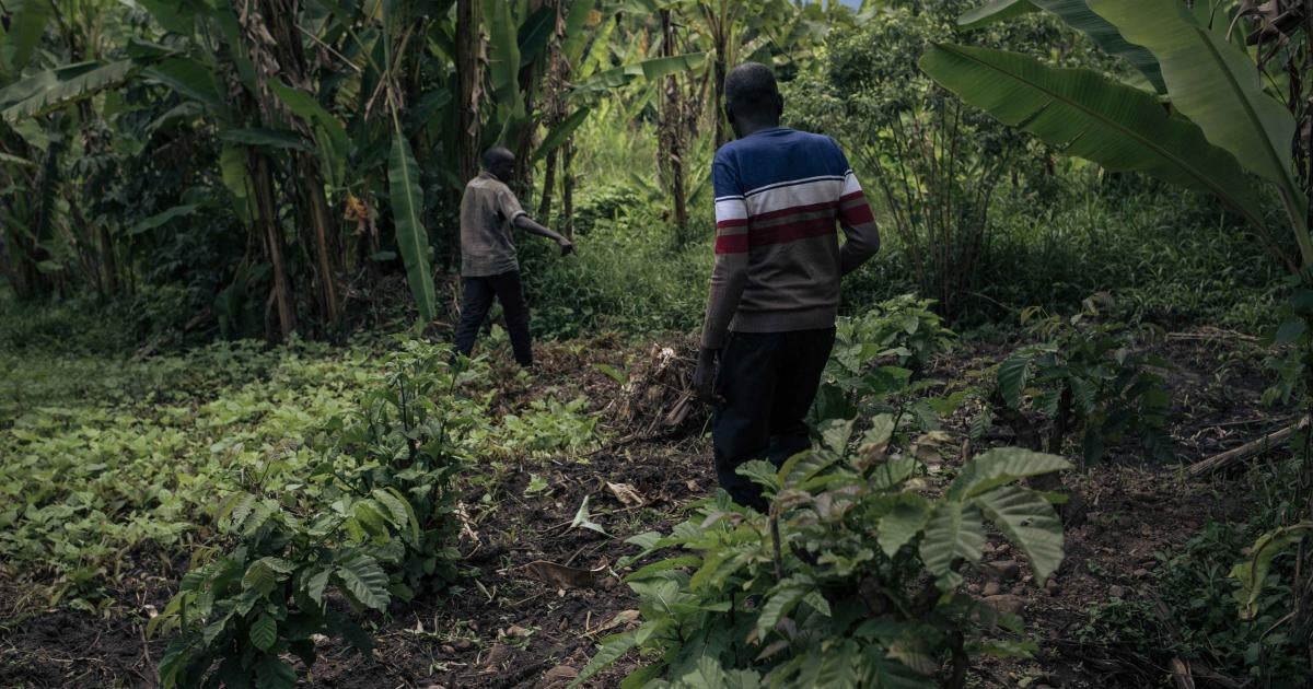 República Democrática del Congo: Fosas comunes vinculadas al M23 apoyado por Ruanda