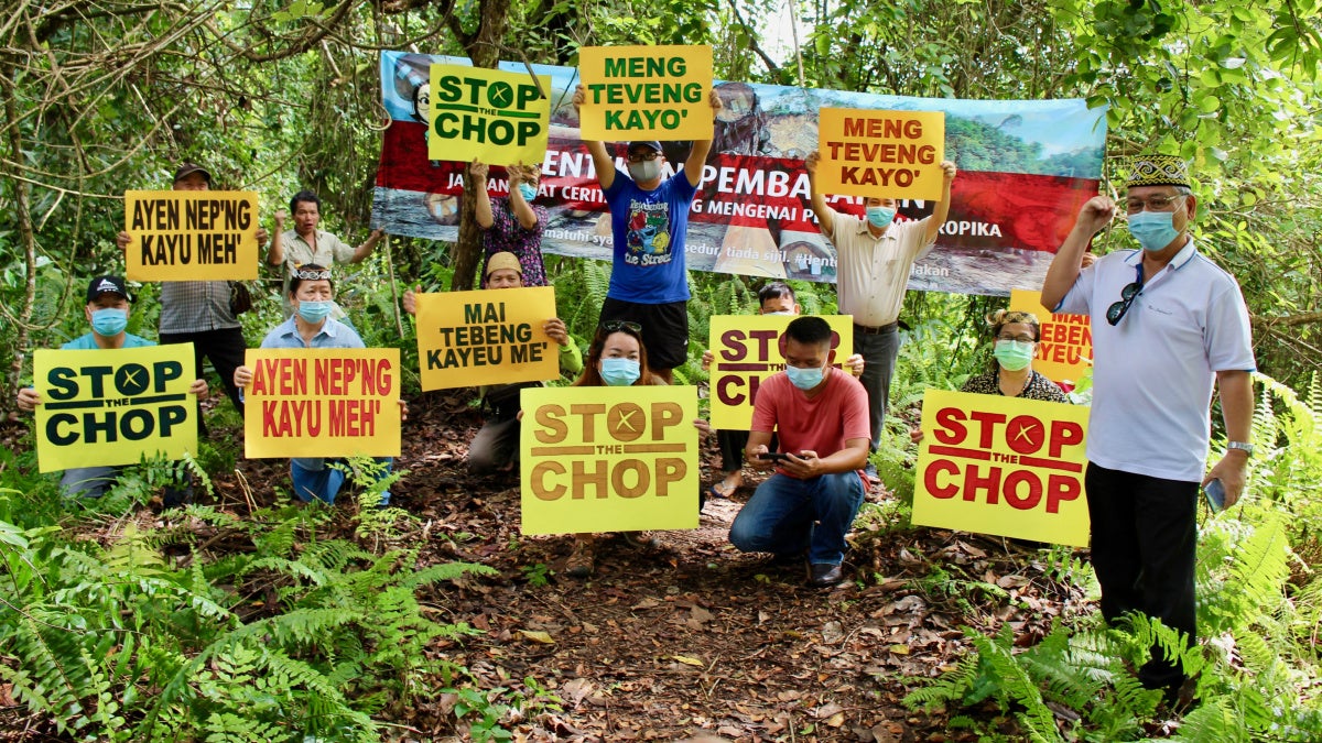 EU: Include Civil Society in Anti-Deforestation Task Force - Vimarsana News
