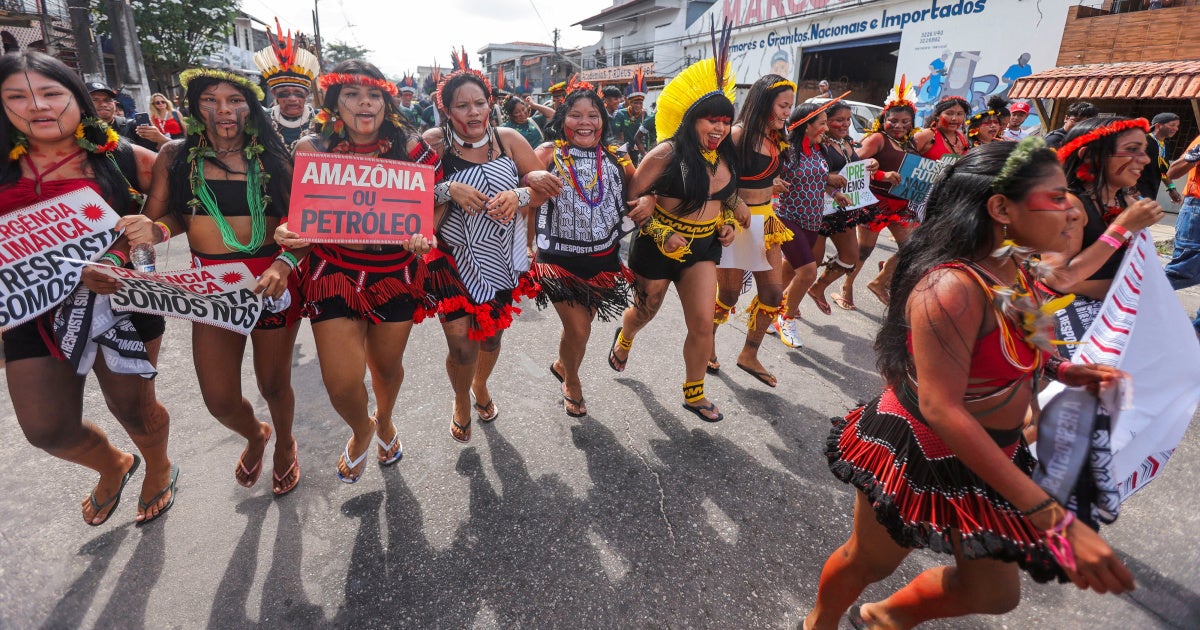 COP30: Urgent Action Needed to Halt Deforestation