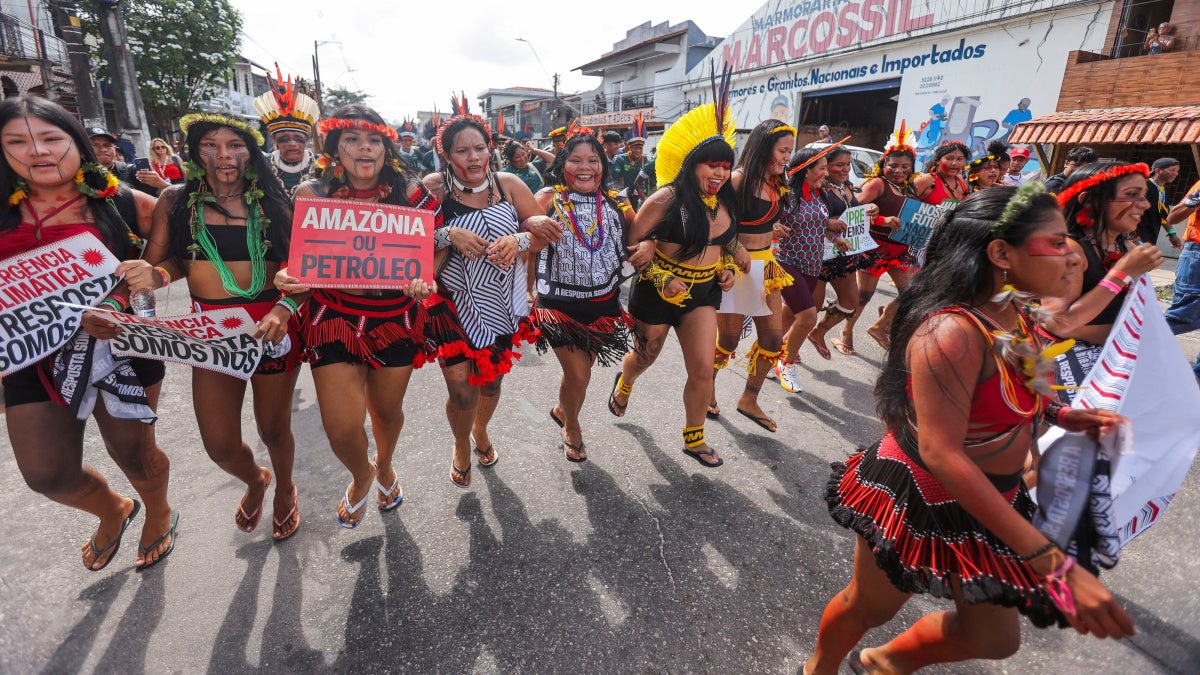 COP30 Should Accelerate Anti-Deforestation Efforts
