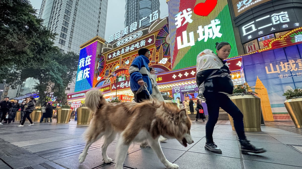 China’s Police Harass Animal Protection Supporters