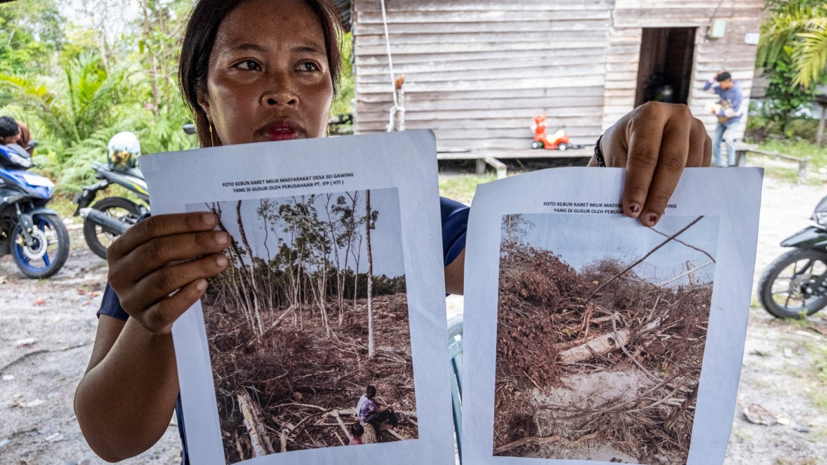 hrw.org - Indigenous Farmer in Indonesia Acquitted in Coal Mining Case