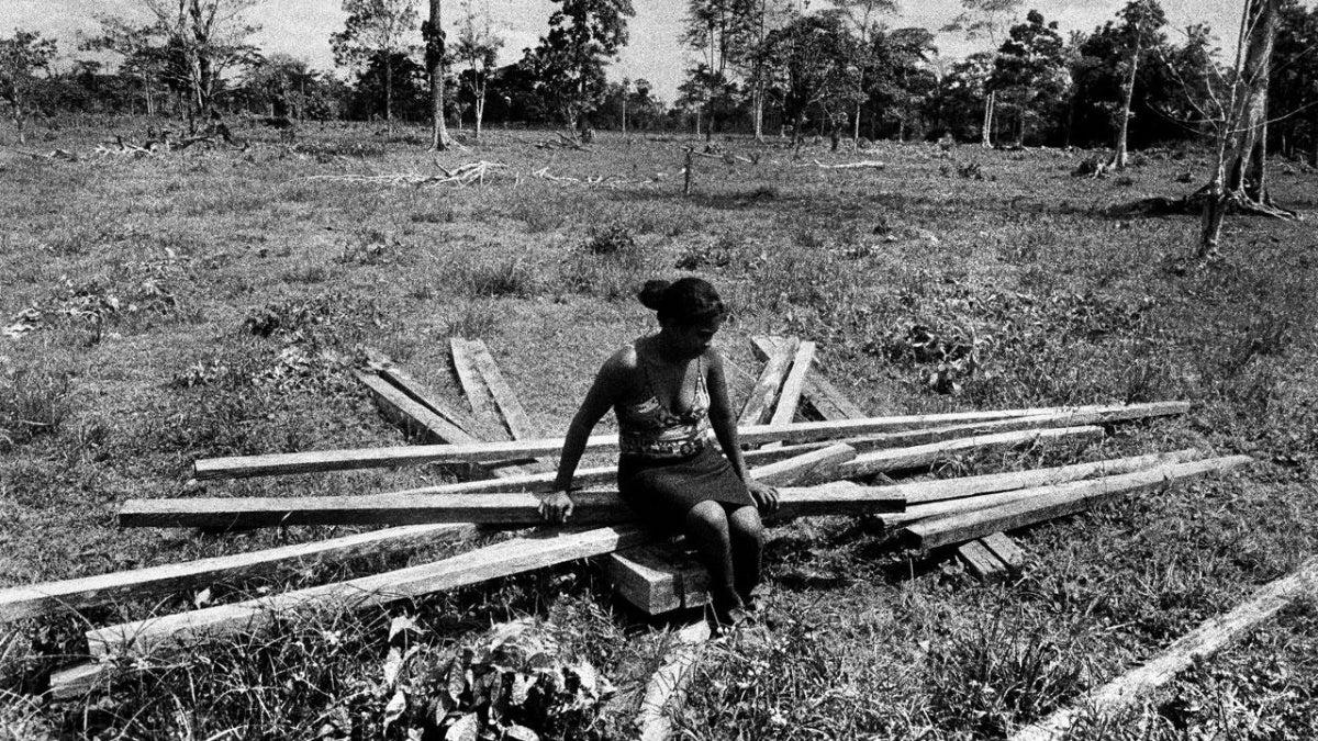 Colombia: Victims Face Reprisals for Reclaiming Land | Human Rights Watch