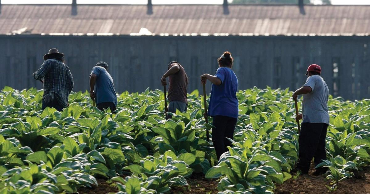 Cultivating Fear: The Vulnerability of Immigrant Farmworkers in the US to  Sexual Violence and Sexual Harassment | HRW