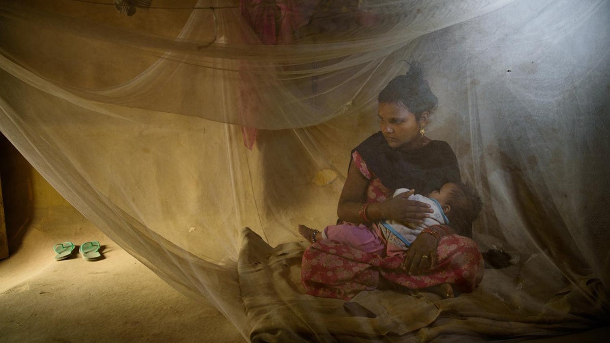 Fragile Progress in Global Fight Against Child Marriage | Human