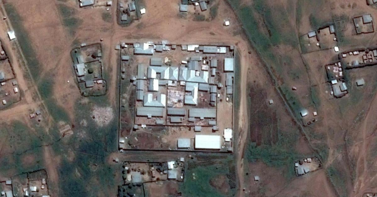 Soqolsiz mushuklar porno