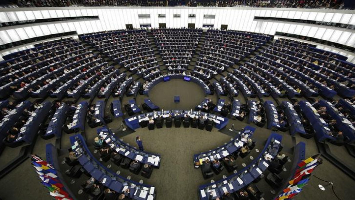 EU: Parliamentary Candidates’ Views on Rights