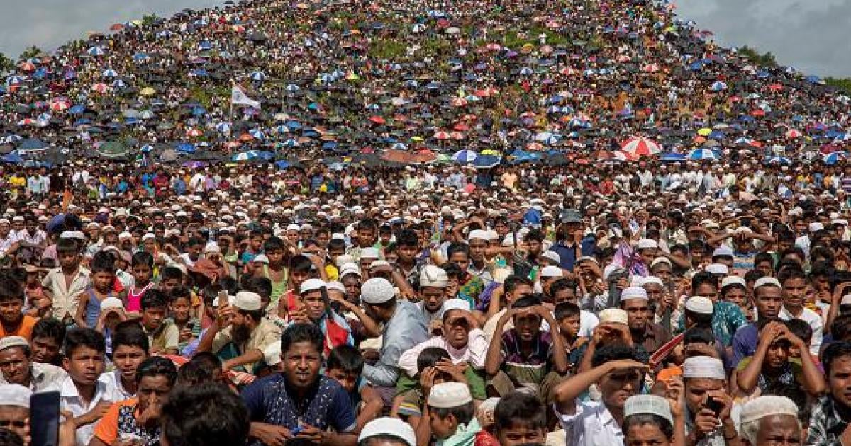 仙人掌　live on refugee Bangladesh: Clampdown on Rohingya Refugees | Human Rights Watch