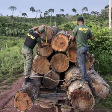 Nesta foto de 10 de março de 2018, publicada pelo Ibama, agentes medem madeira extraída ilegalmente da Terra Indígena Cachoeira Seca no estado do Pará.