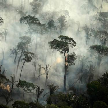 Smoke billows during a fire in an area of the Amazon rainforest near Porto Velho, Rondonia State, Brazil.  