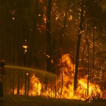 Portugal Wild Fires
