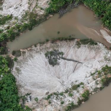 A mining site in the Munduruku Indigenous Land registered by Brazil's environmental agency IBAMA, May 2018. 