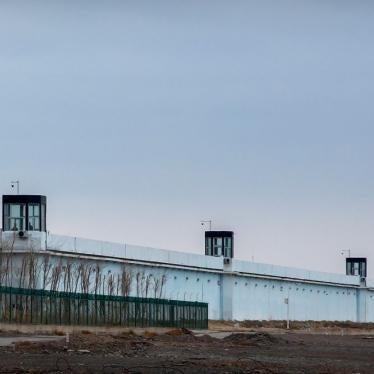 Guard towers on the perimeter wall of the Urumqi No. 3 Detention Center