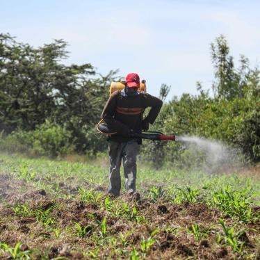 A man sprays pesticides at a maize farm in Nakuru, Kenya, April 28, 2020. © 2020 Sipa via AP Images