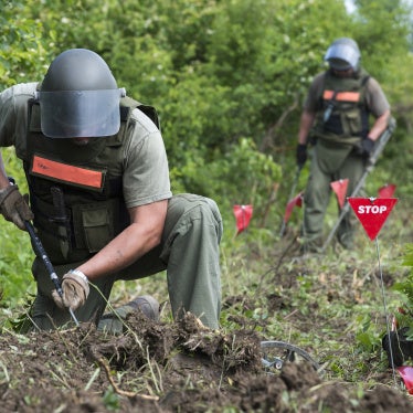 Deminers search for landmines near Lasinja