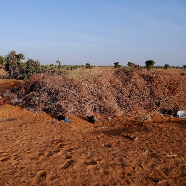 Villagers from Al-Luwaib in North Kordofan stand at a burial site for victims of a drone strike, in El Obeid, Sudan, January 14, 2026.