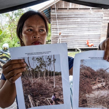 An Indigenous Dayak villager shows pictures of her rubber plantation destroyed by an industrial logging company