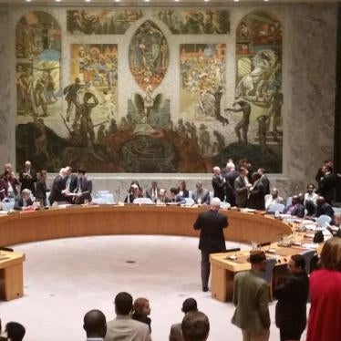 UN Security Council session on the situation in the Democratic People's Republic of Korea, New York, December 10, 2015