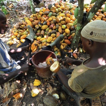 Cocoa planters near San-Pedro, on the southern coast of Côte d’Ivoire, break open cocoa pod shells on November 29, 2008. 