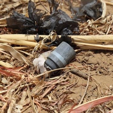 An unexploded M77 DPICM submunition found in Dughayj village, northern Yemen, after a cluster munition attack in June or July 2015. 